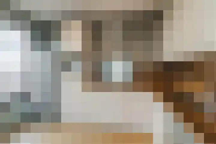 Simon Carmiggelthof 129 Den Haag thumbnail 15