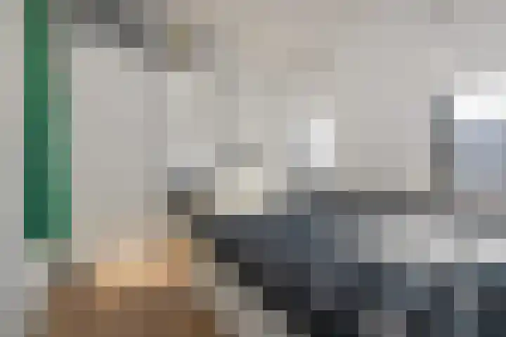Simon Carmiggelthof 156 Den Haag thumbnail 27