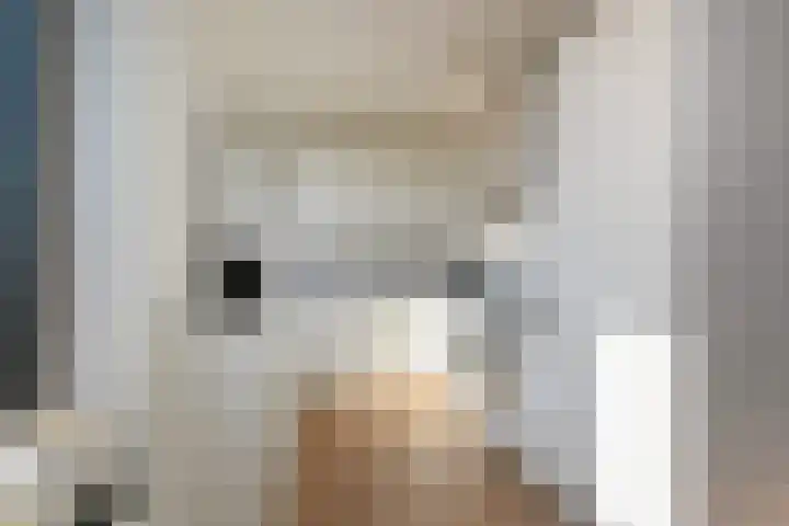 Simon Carmiggelthof 156 Den Haag thumbnail 5