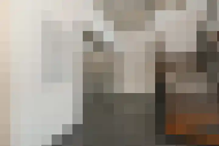 Simon Carmiggelthof 156 Den Haag thumbnail 8