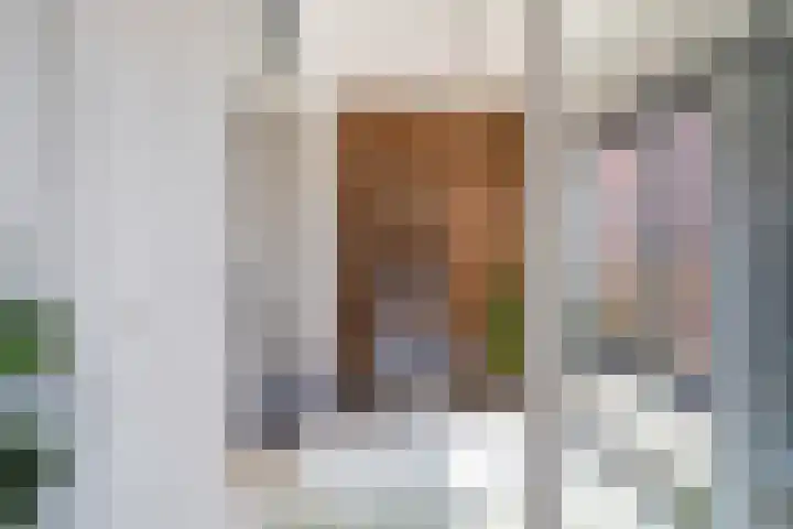 Simon Carmiggelthof 198 Den Haag thumbnail 12