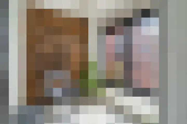 Simon Carmiggelthof 198 Den Haag thumbnail 13