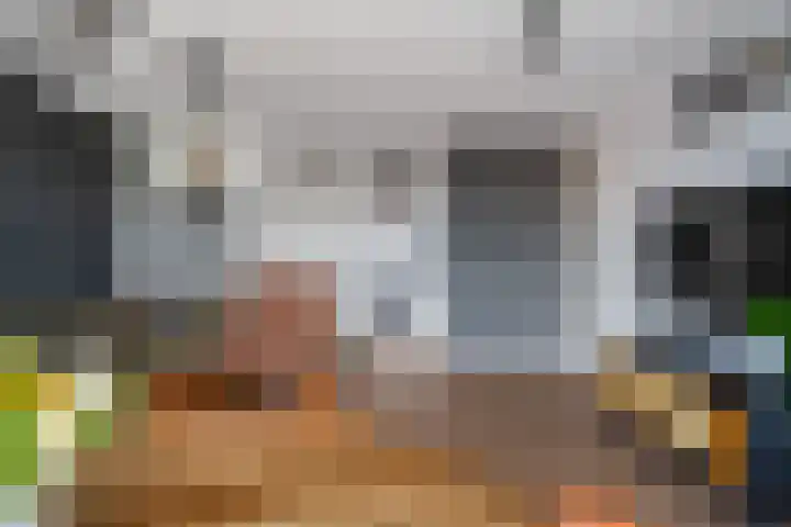 Simon Carmiggelthof 198 Den Haag thumbnail 15