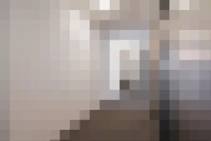Simon Carmiggelthof 198 Den Haag thumbnail 31