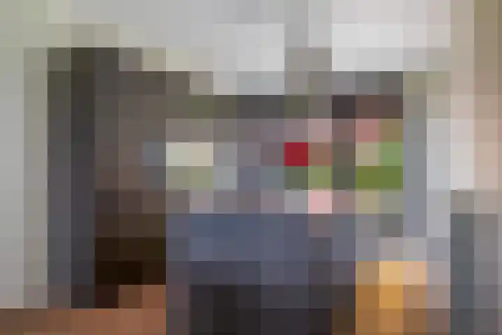 Simon Carmiggelthof 226 Den Haag thumbnail 17