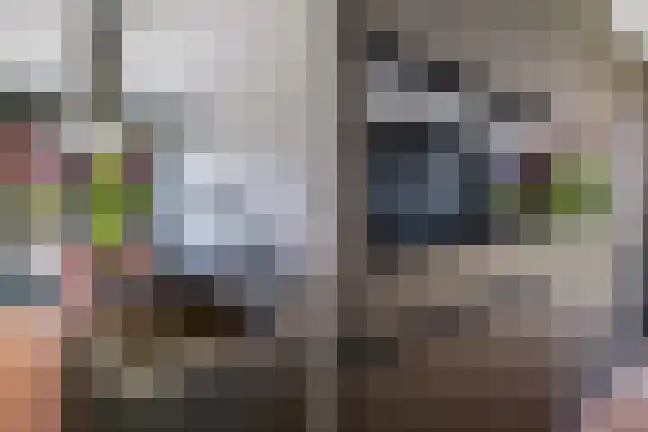 Simon Carmiggelthof 226 Den Haag thumbnail 18
