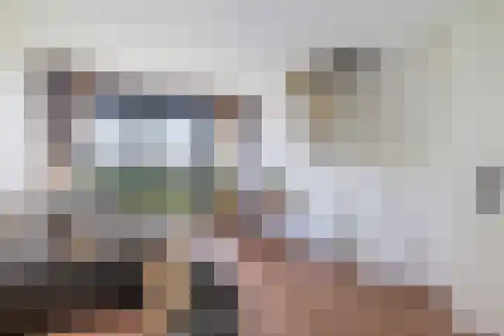 Simon Carmiggelthof 226 Den Haag thumbnail 30