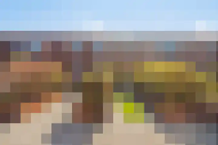 Simon Carmiggelthof 248 in Den Haag