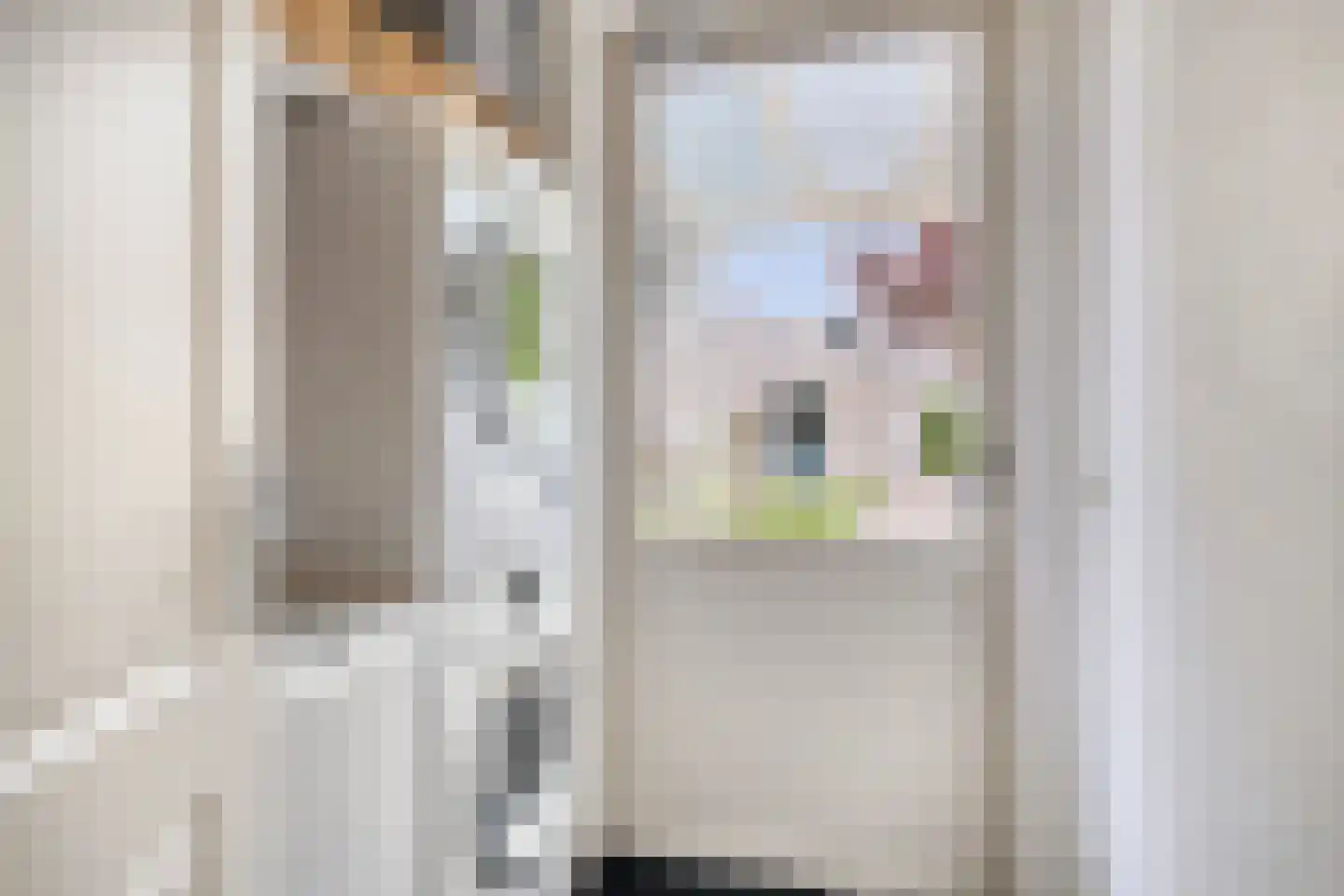Simon Carmiggeltlaan 4 Kloetinge thumbnail 16