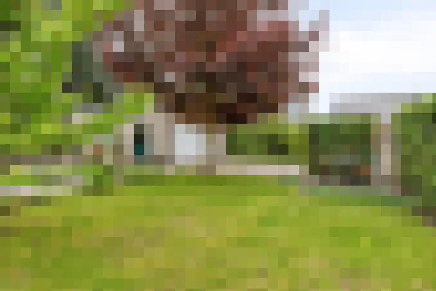 Simon Carmiggeltlaan 4 Kloetinge thumbnail 33