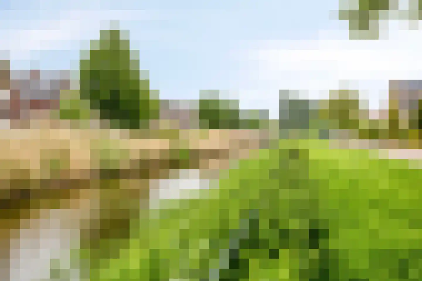 Simon Carmiggeltlaan 4 Kloetinge thumbnail 43