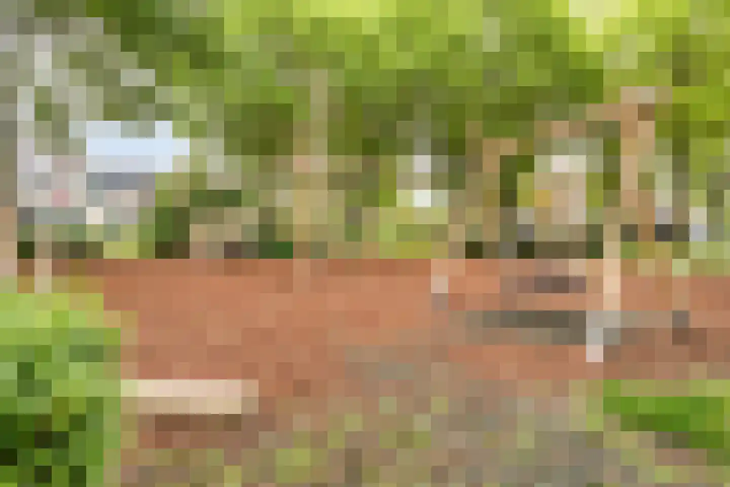 Simon Carmiggeltlaan 4 Kloetinge thumbnail 44