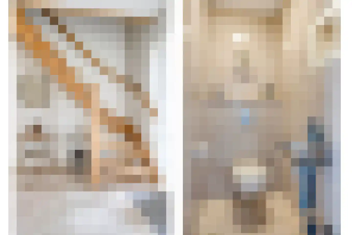 Simon Carmiggeltlaan 4 Kloetinge thumbnail 5
