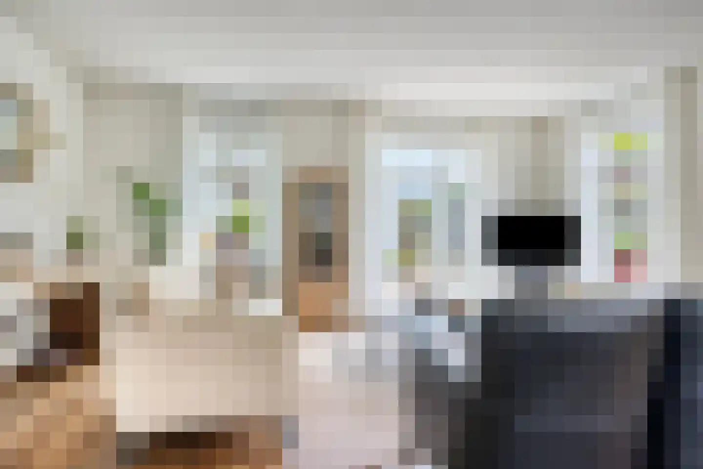 Simon Carmiggeltlaan 4 Kloetinge thumbnail 6