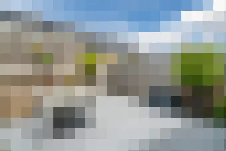 Simon Carmiggeltplantsoen 16 Utrecht thumbnail 17