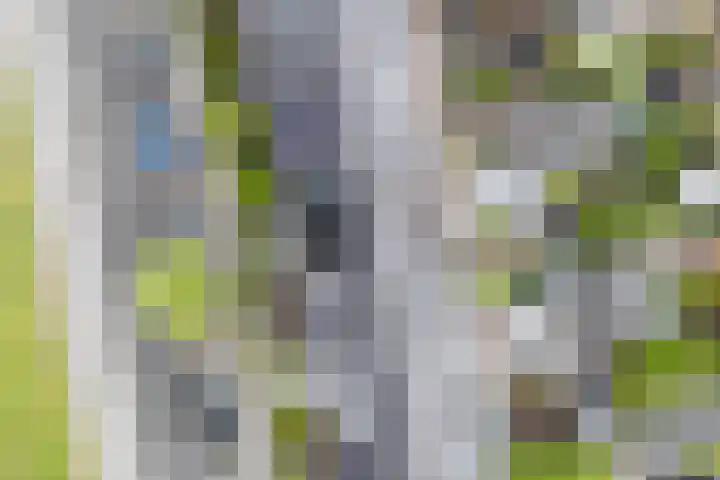 Simon Carmiggeltplantsoen 16 Utrecht thumbnail 18