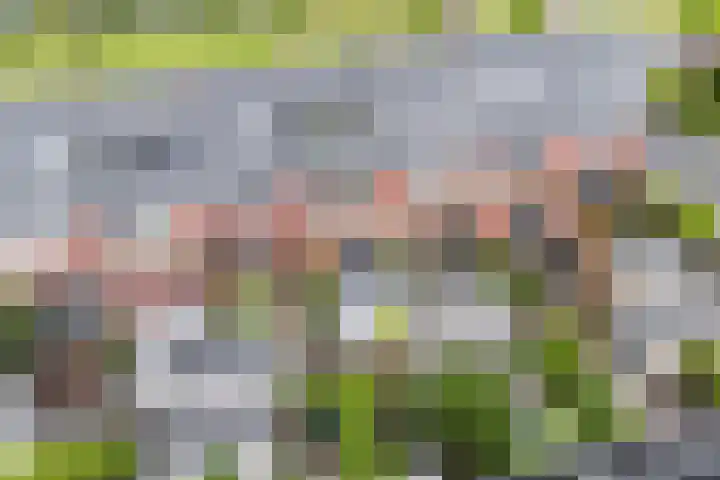 Simon Carmiggeltplantsoen 16 Utrecht thumbnail 19