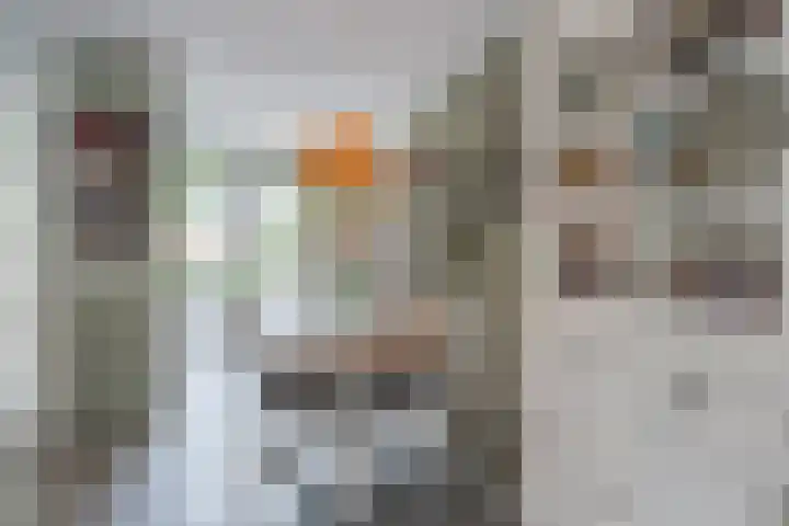Simon Carmiggeltplantsoen 16 Utrecht thumbnail 29