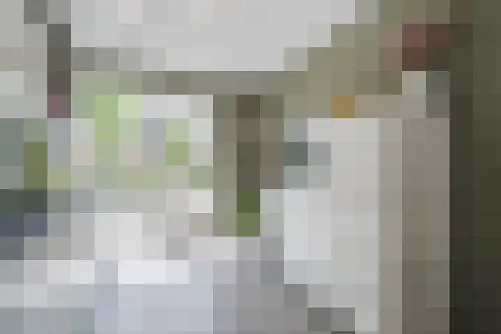 Simon Carmiggeltplantsoen 16 Utrecht thumbnail 30