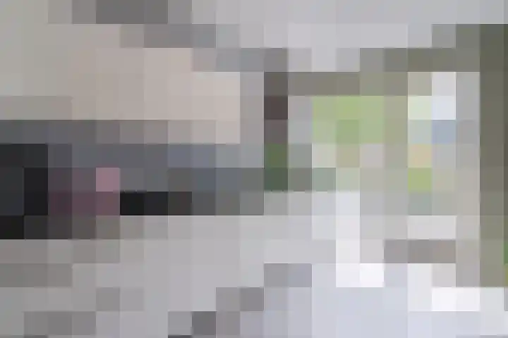 Simon Carmiggeltplantsoen 16 Utrecht thumbnail 32