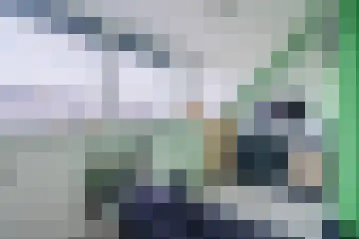Simon Carmiggeltplantsoen 16 Utrecht thumbnail 54
