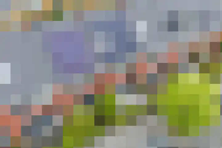 Simon Carmiggeltplantsoen 16 Utrecht thumbnail 67