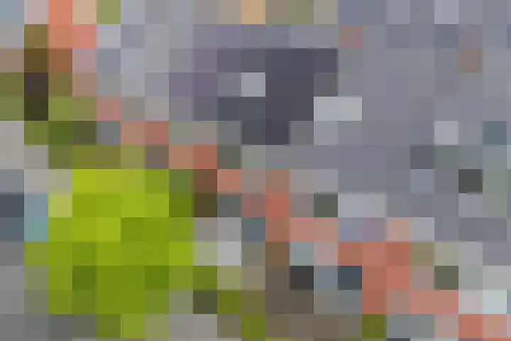 Simon Carmiggeltplantsoen 16 Utrecht thumbnail 68