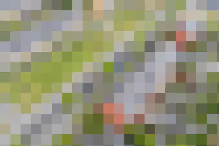 Simon Carmiggeltplantsoen 16 Utrecht thumbnail 69