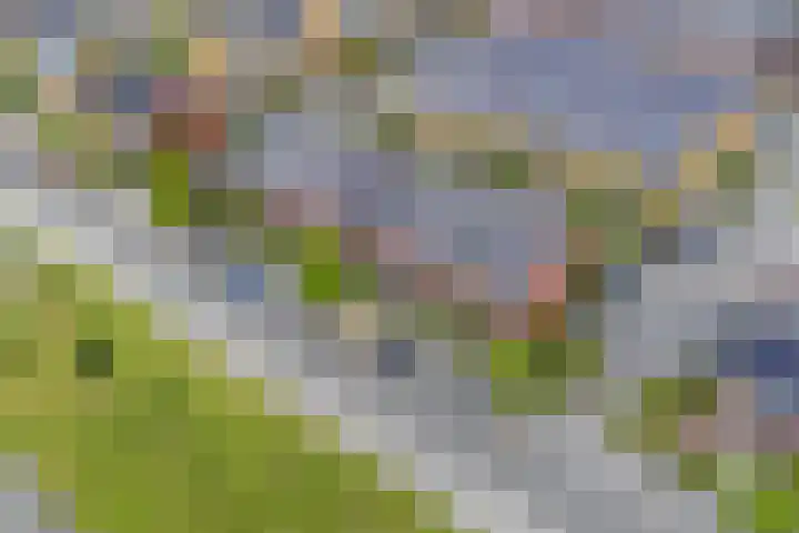 Simon Carmiggeltplantsoen 16 Utrecht thumbnail 71