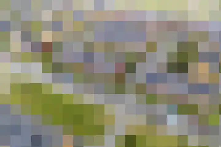 Simon Carmiggeltplantsoen 16 Utrecht thumbnail 72