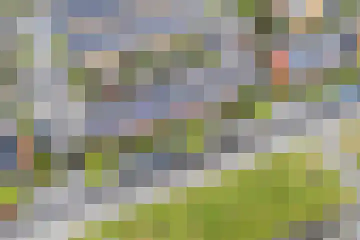 Simon Carmiggeltplantsoen 16 Utrecht thumbnail 73