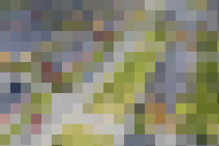 Simon Carmiggeltplantsoen 16 Utrecht thumbnail 74