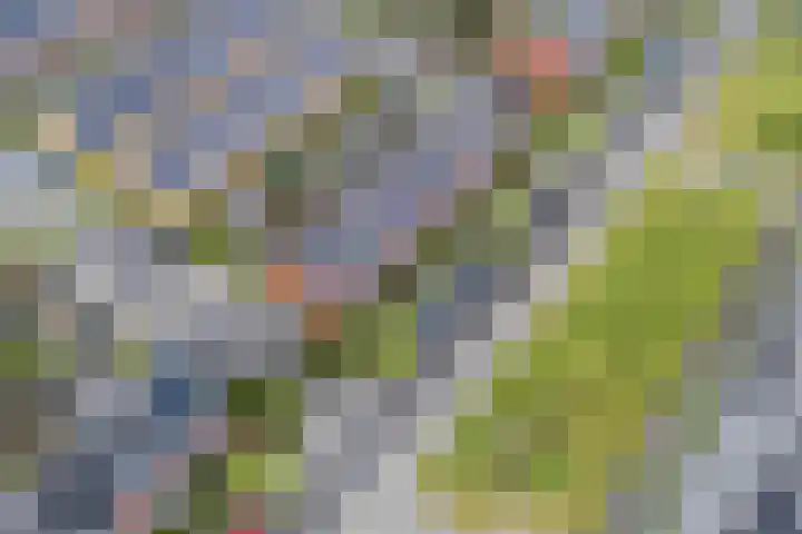 Simon Carmiggeltplantsoen 16 Utrecht thumbnail 75