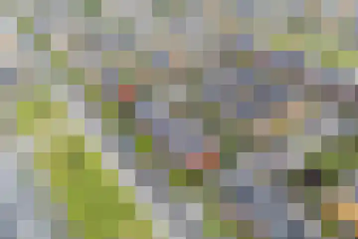 Simon Carmiggeltplantsoen 16 Utrecht thumbnail 76