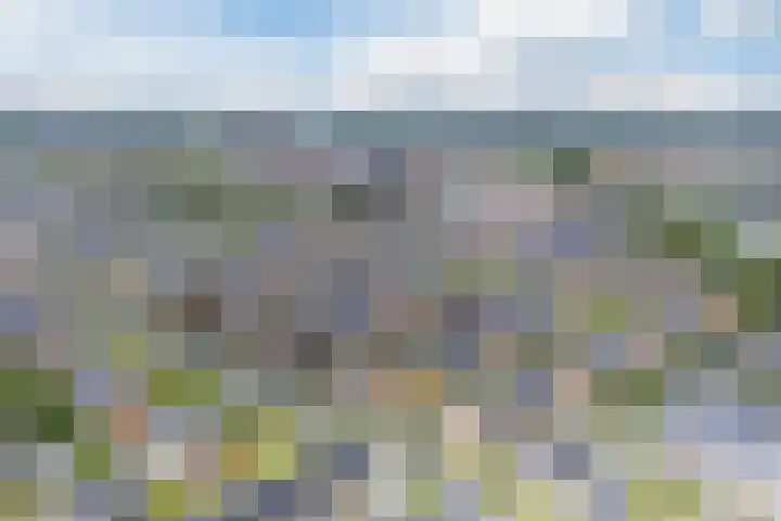 Simon Carmiggeltplantsoen 16 Utrecht thumbnail 77