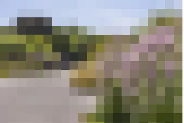 Simon Carmiggeltplantsoen 7 Utrecht thumbnail 37