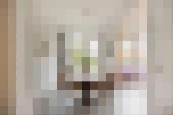 Simon Carmiggeltplantsoen 7 Utrecht thumbnail 5