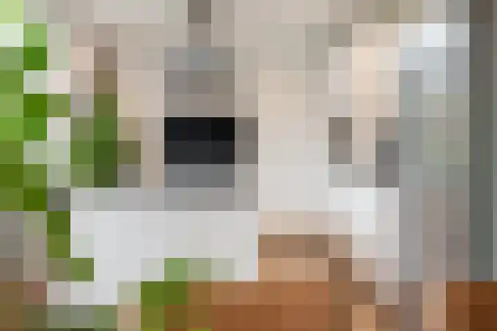 Simon Carmiggeltplantsoen 7 Utrecht thumbnail 6
