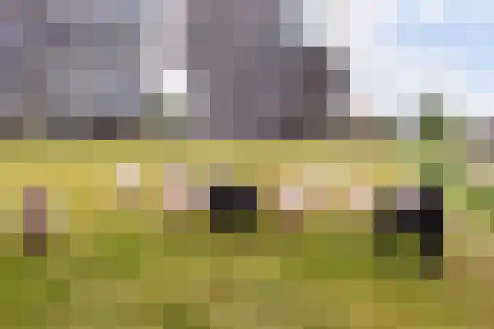 Simon Carmiggeltplantsoen 8 Utrecht thumbnail 30
