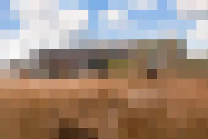 Simon Carmiggeltplantsoen 8 Utrecht thumbnail 31