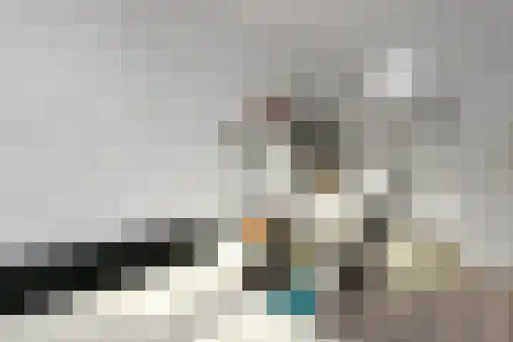 Simon Carmiggeltstraat 20 Nijmegen thumbnail 38