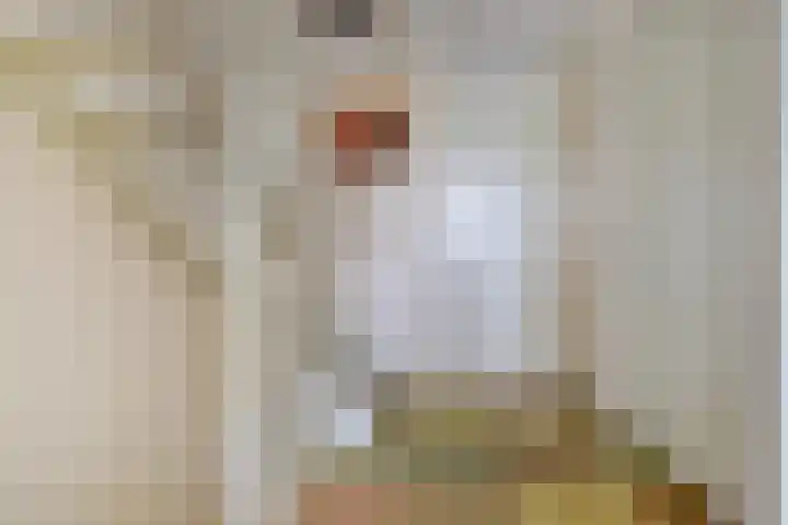 Simon Carmiggeltstraat 32 Berkel en Rodenrijs thumbnail 17