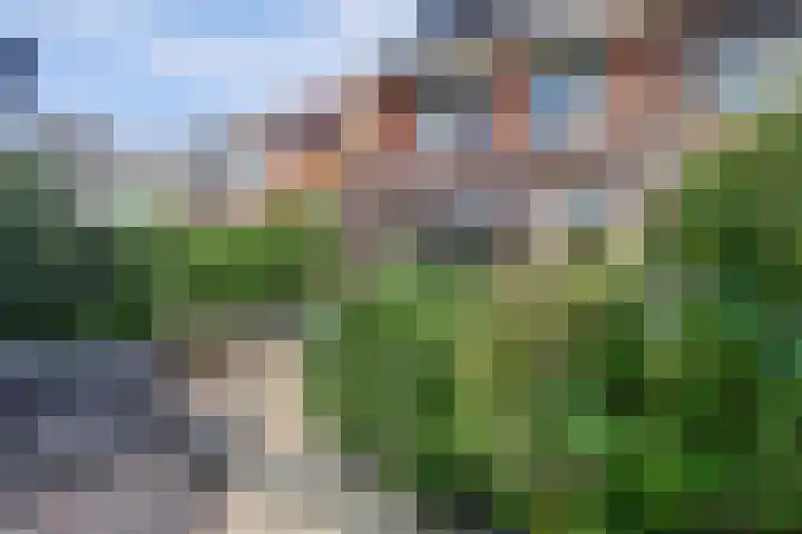 Simon Carmiggeltstraat 32 Berkel en Rodenrijs thumbnail 31