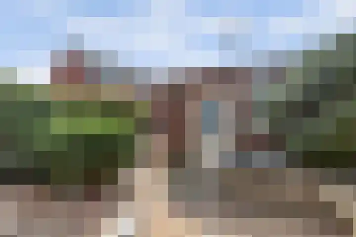 Simon Carmiggeltstraat 32 Berkel en Rodenrijs thumbnail 33