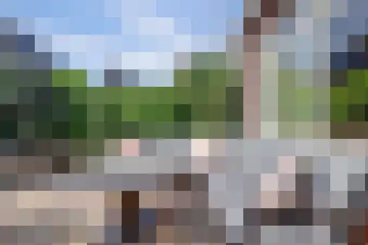 Simon Carmiggeltstraat 32 Berkel en Rodenrijs thumbnail 34