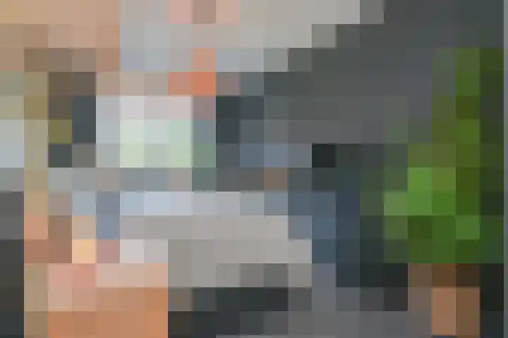 Simon Carmiggeltstraat 36 Berkel en Rodenrijs thumbnail 19