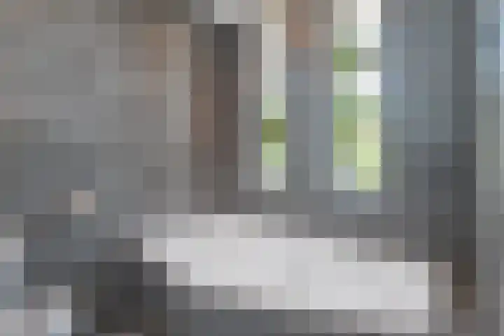 Simon Carmiggeltstraat 36 Berkel en Rodenrijs thumbnail 27