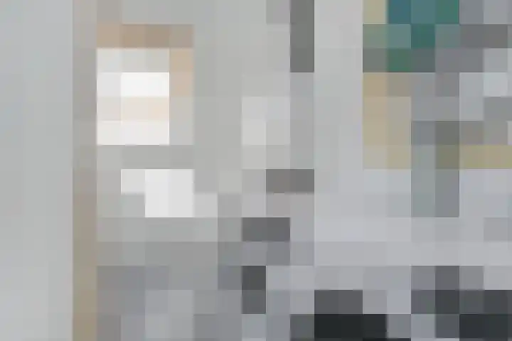 Simon Carmiggeltstraat 36 Berkel en Rodenrijs thumbnail 31