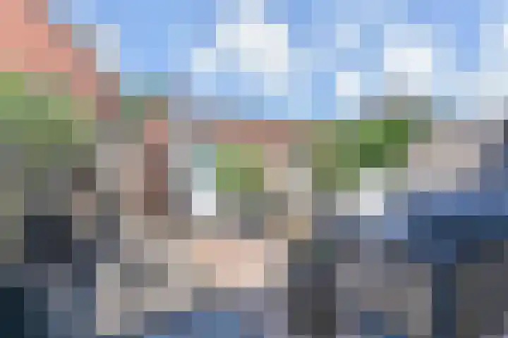 Simon Carmiggeltstraat 36 Berkel en Rodenrijs thumbnail 38