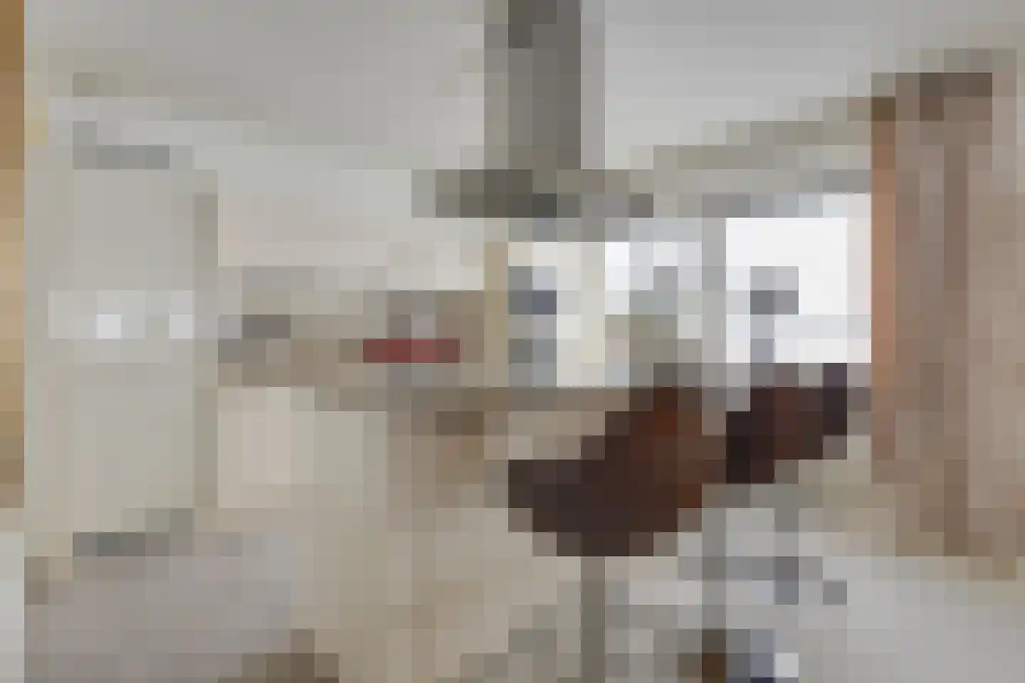 Simon Carmiggeltstraat 46 Alkmaar thumbnail 4